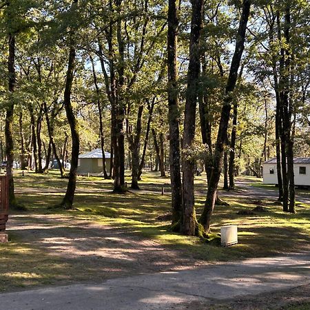 Camping Les Petites Minaudieres Coussay-les-Bois Exterior foto